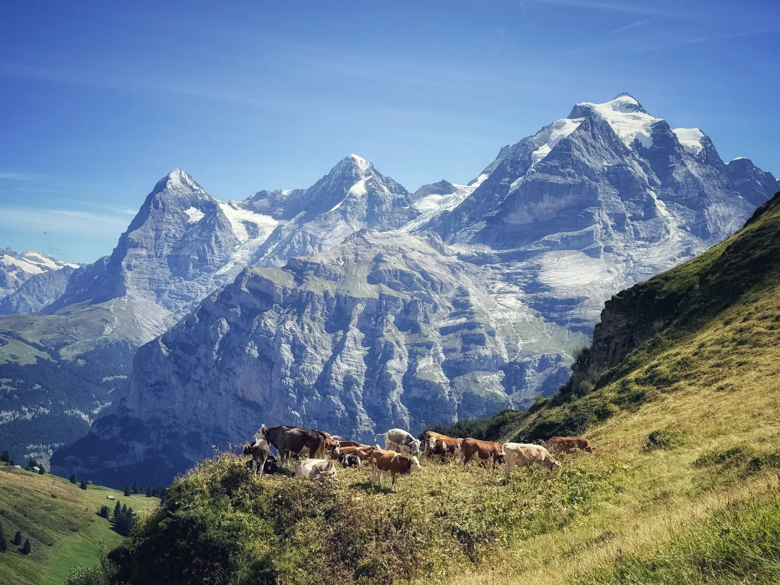 Mürren Palace, Schweiz